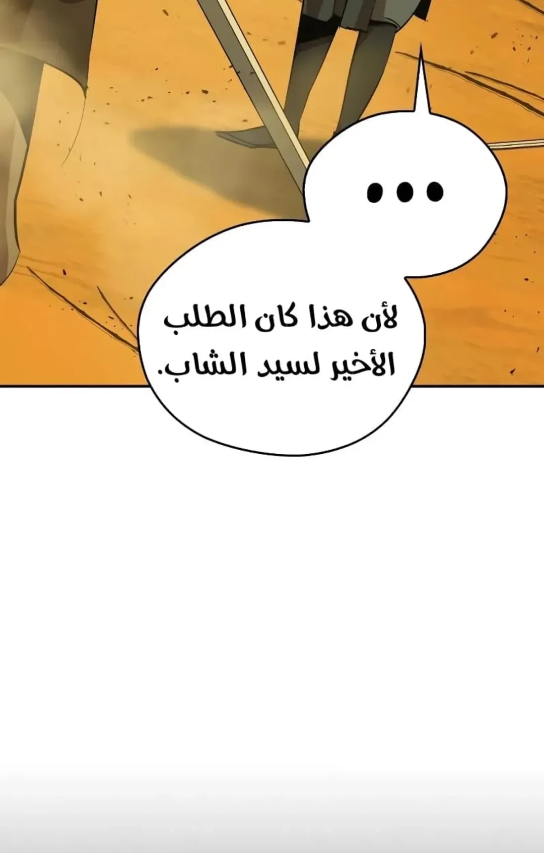 صفحة 13
