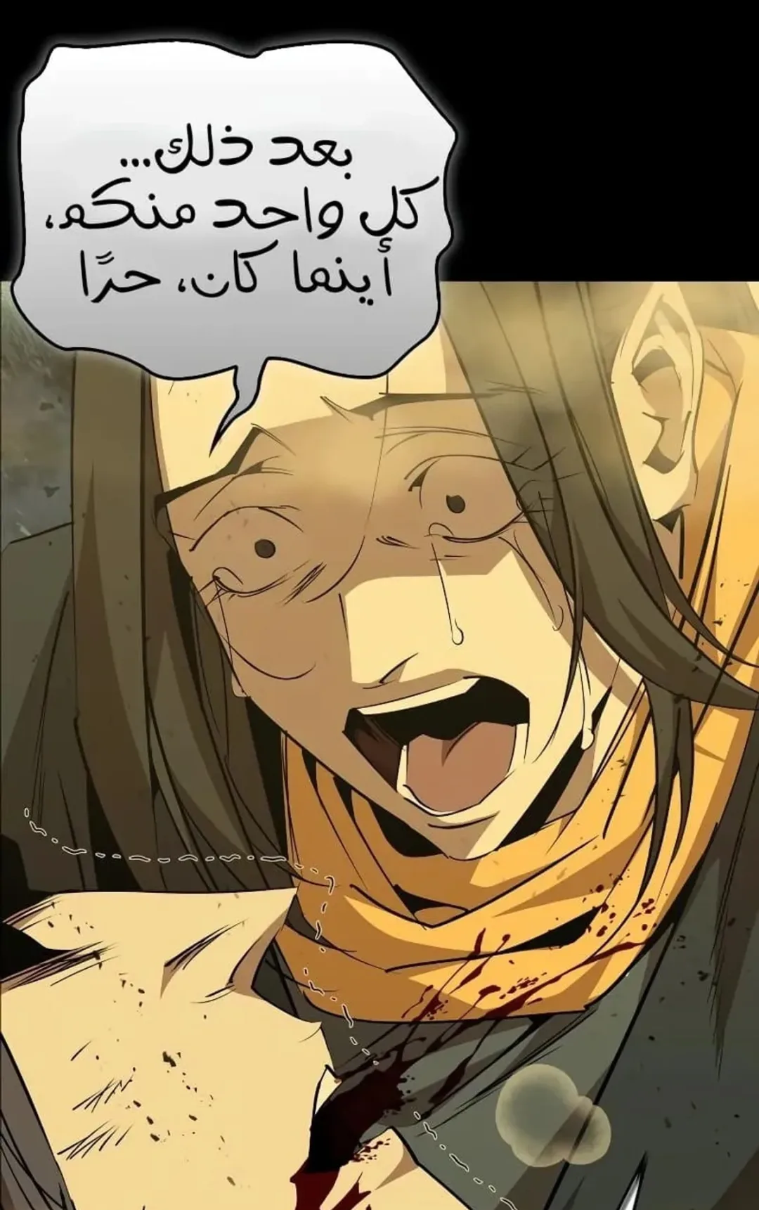 صفحة 17