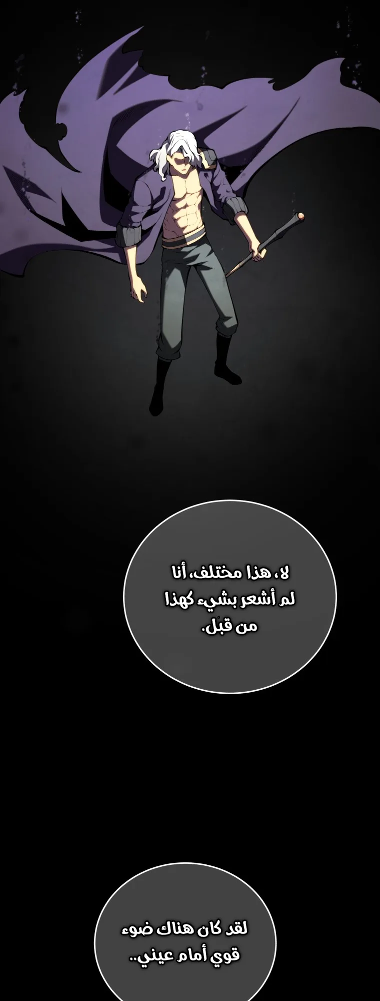صفحة 13