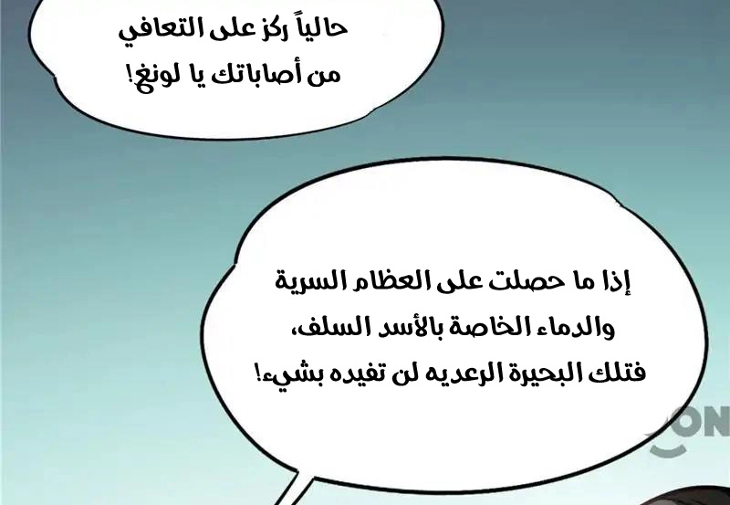 صفحة 43
