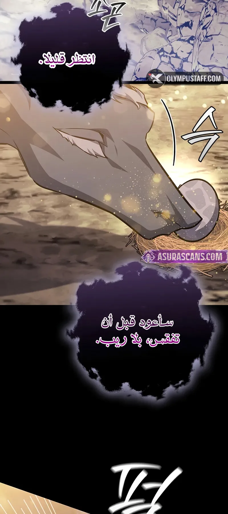 صفحة 13