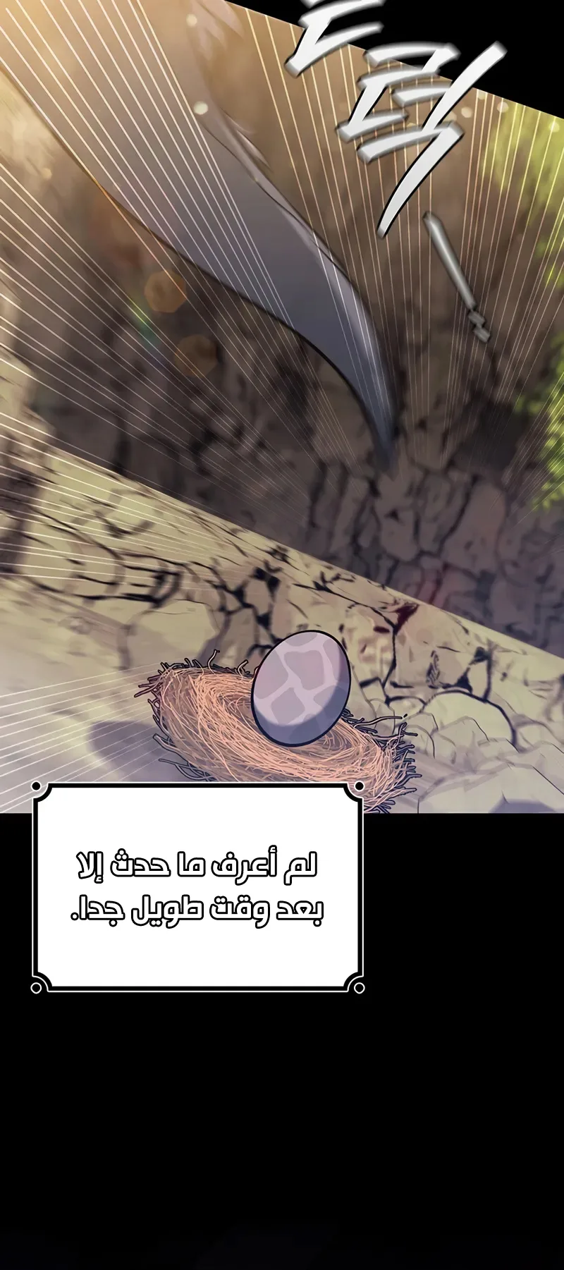 صفحة 14