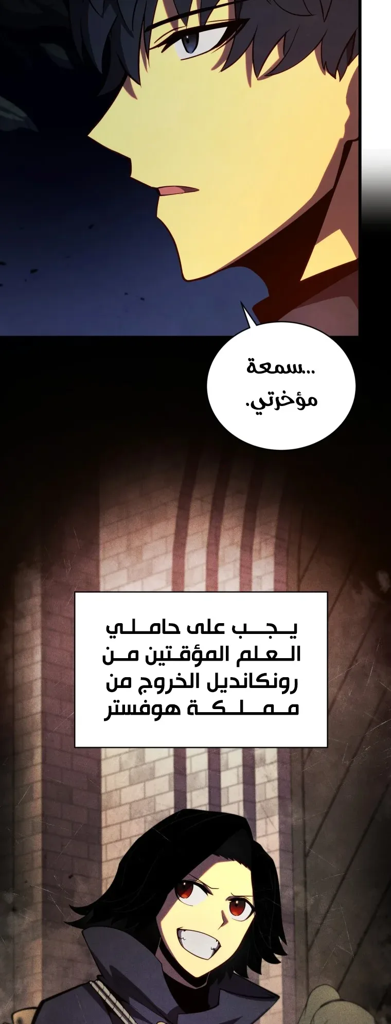 صفحة 13