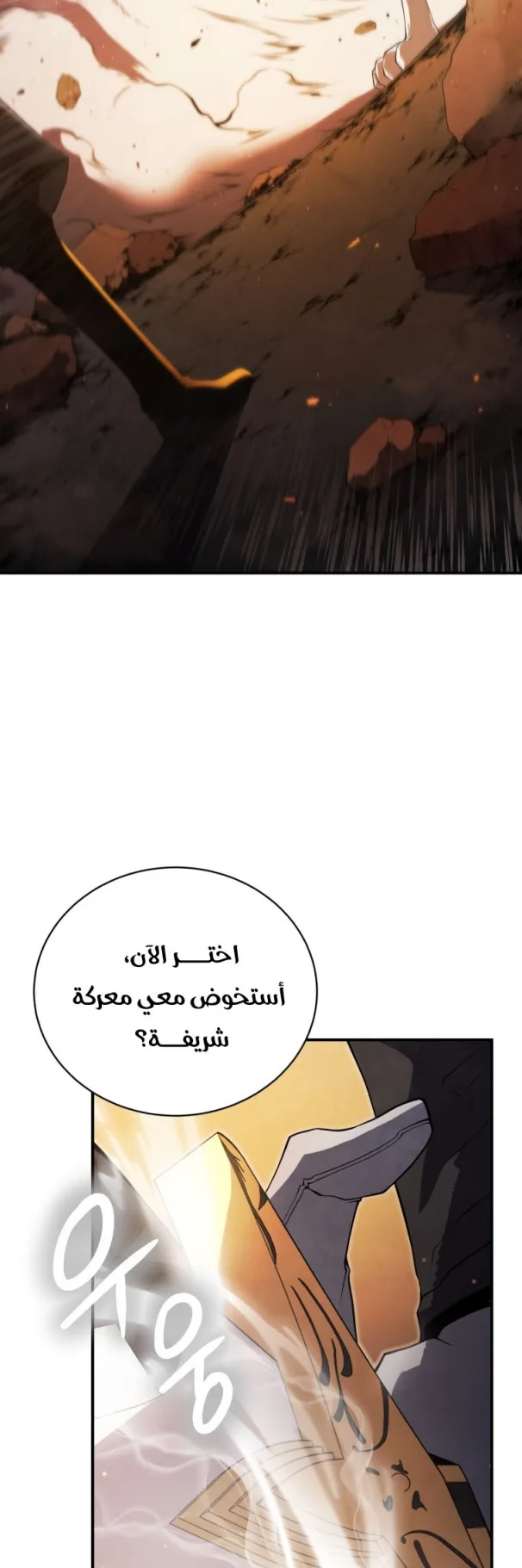 صفحة 13