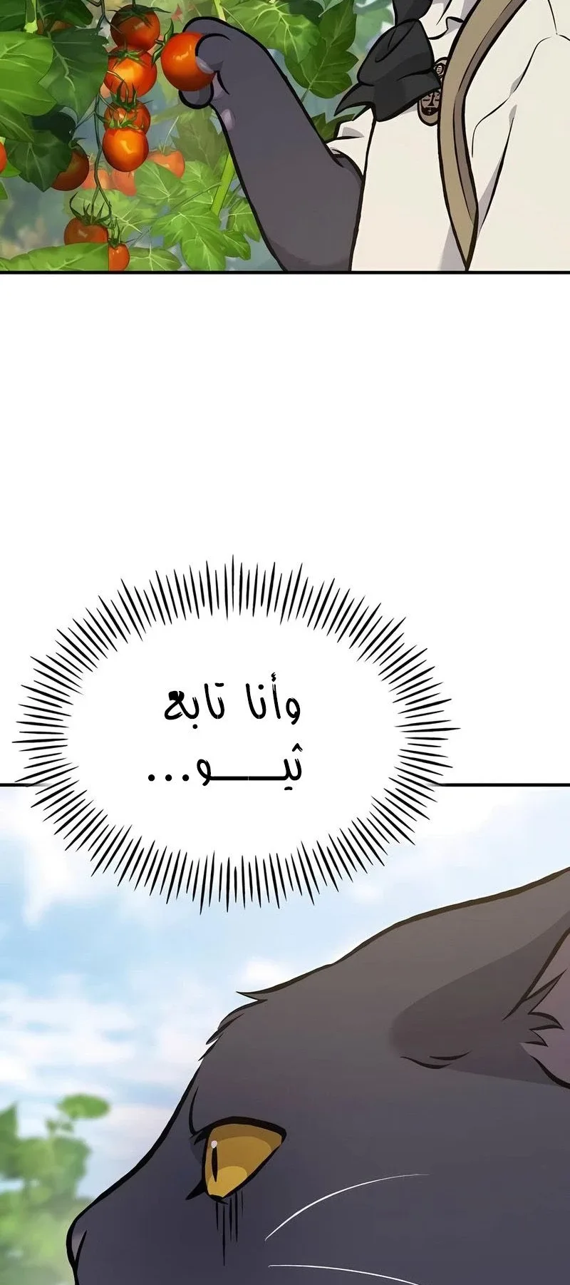 صفحة 3
