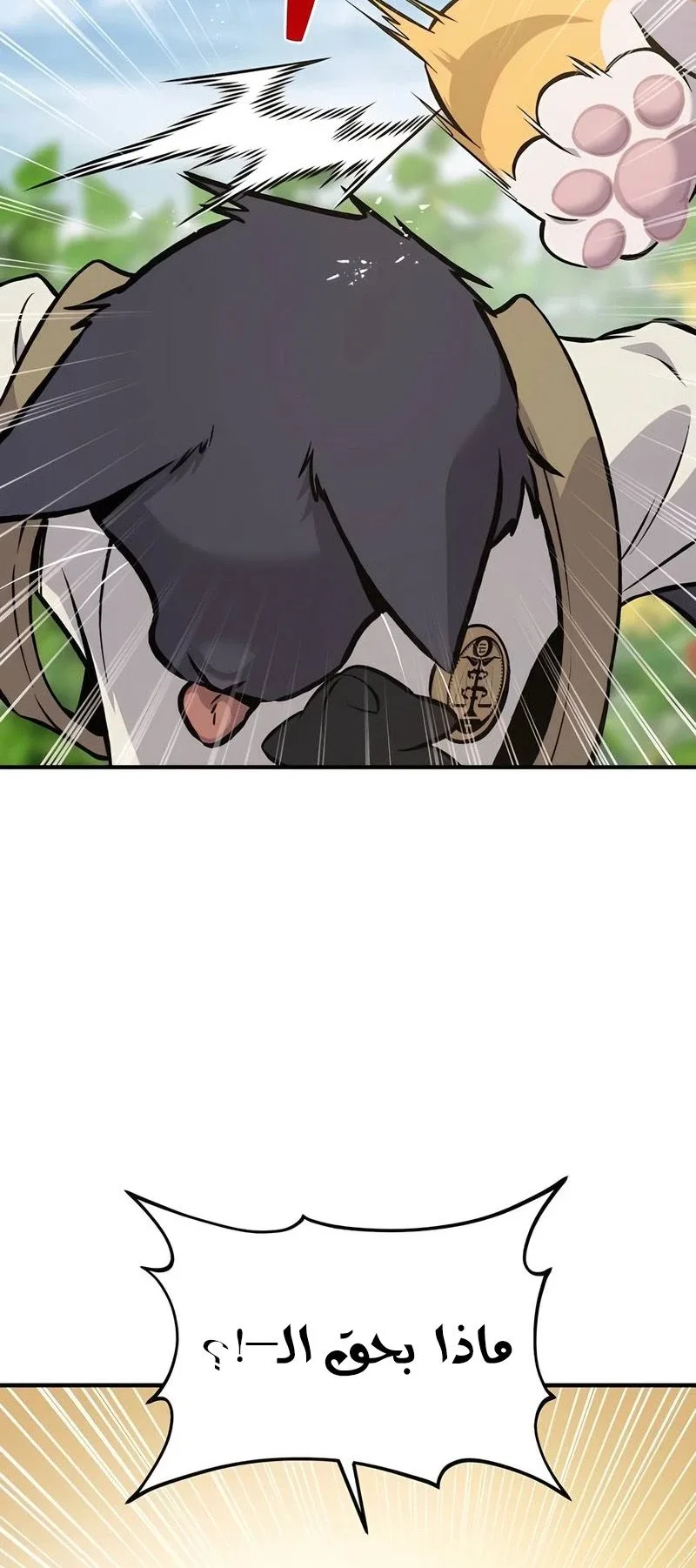 صفحة 5