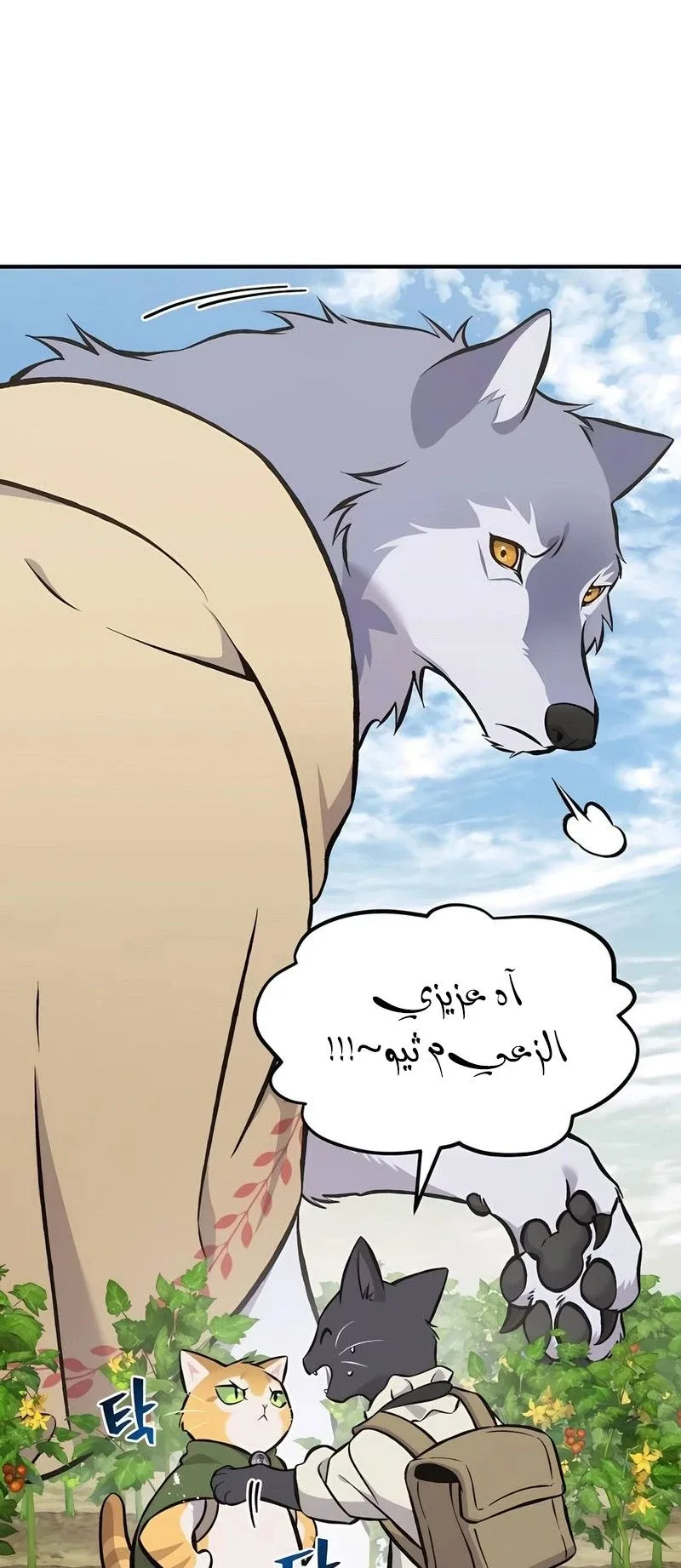 صفحة 11
