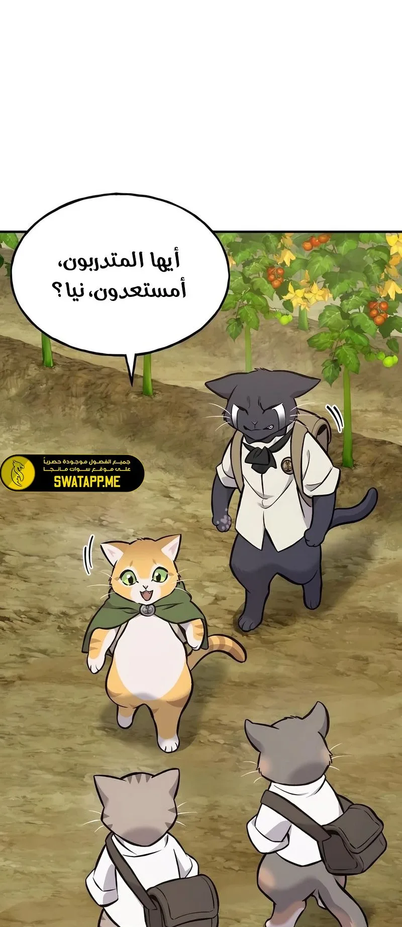 صفحة 14